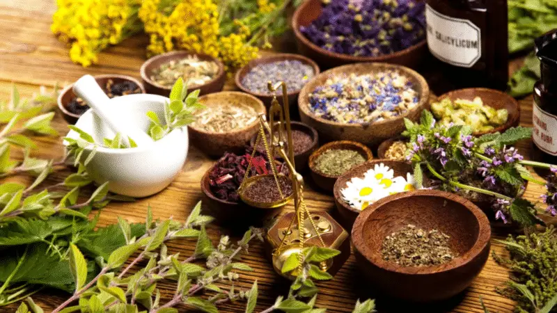 Fitoterápicos para diabetes as 5 melhores opções do mundo!