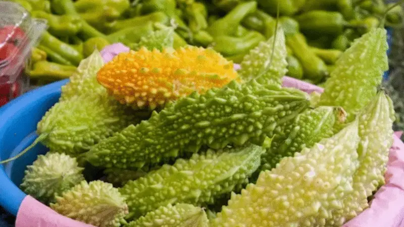 Momordica charantia: 5 benefícios para quem tem diabetes