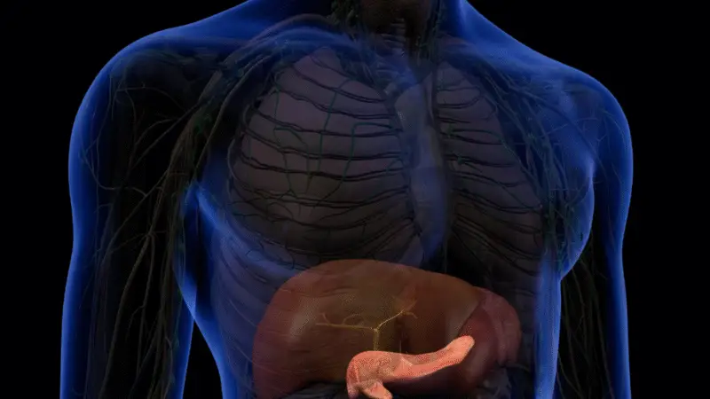 Diabetes tipo 5: Conheça a nova forma da doença