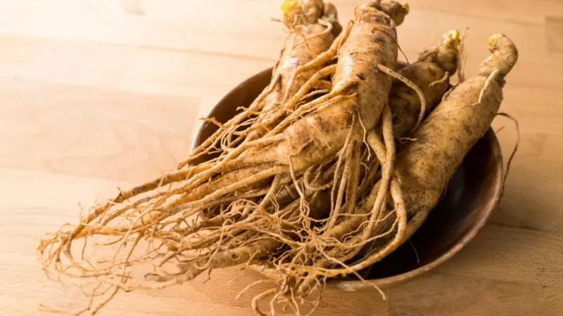 Ginseng e diabetes: 5 benefícios únicos e pouco conhecidos