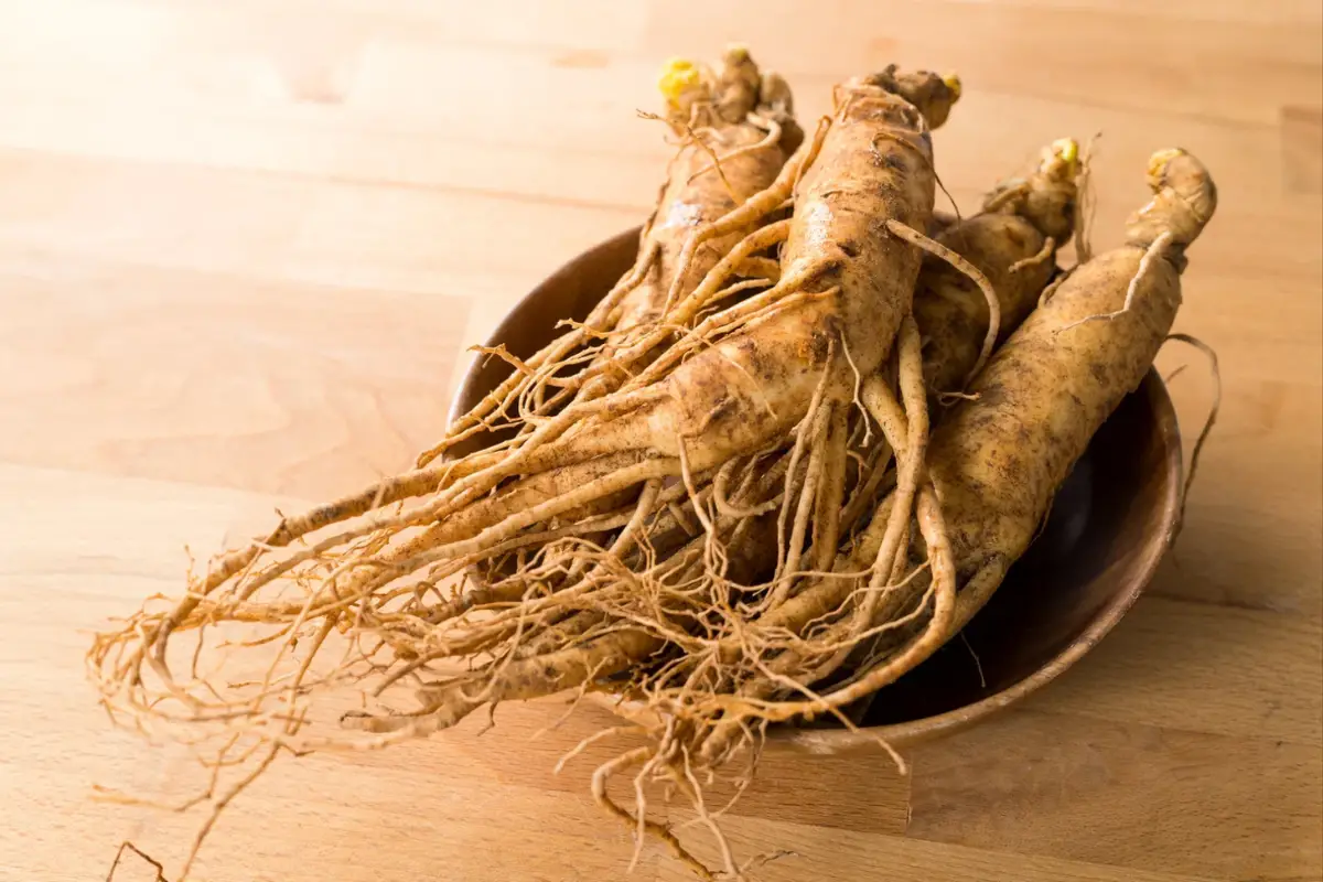 Ginseng e diabetes: 5 benefícios únicos e pouco conhecidos